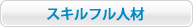 エイベックス・プロワークスのスキルフル人材